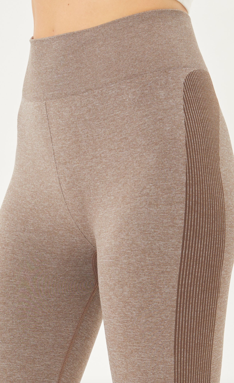 High Waisted Seamless Leggings